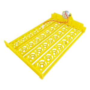Egg Tray Used For Incubator Incubator Trays Egg Tray Quail Egg