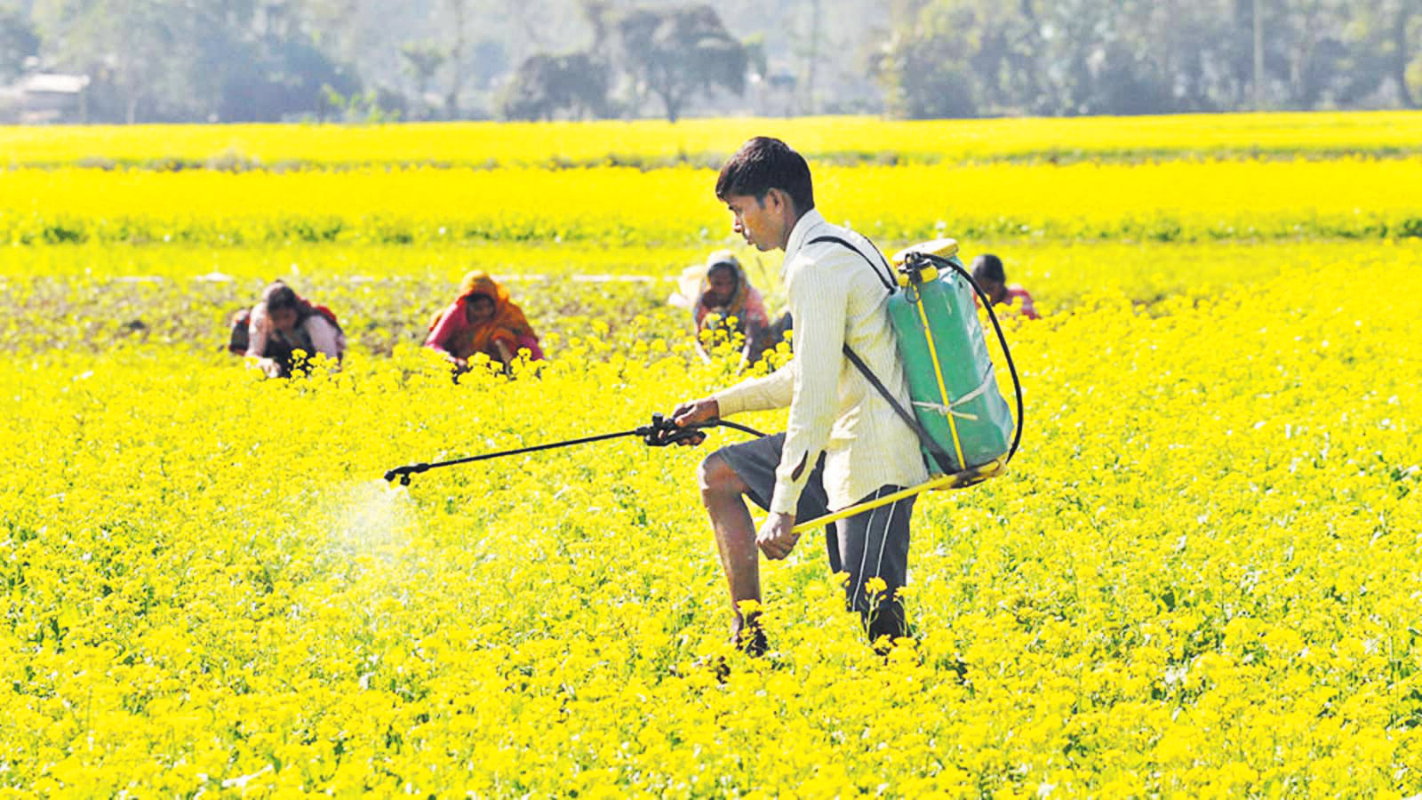 Pesticide spraying
