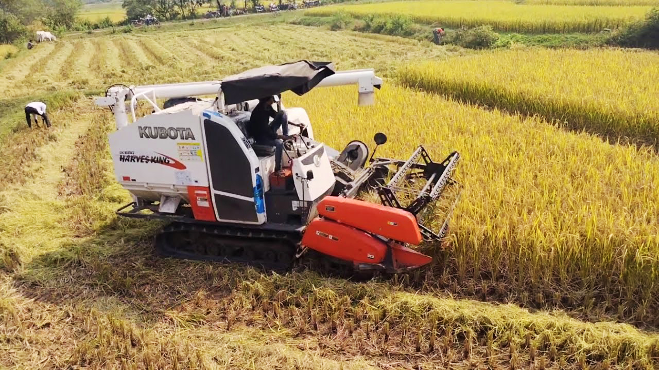 harvester6