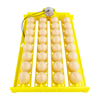 Egg Tray Used For Incubator Incubator Trays Egg Tray Quail Egg