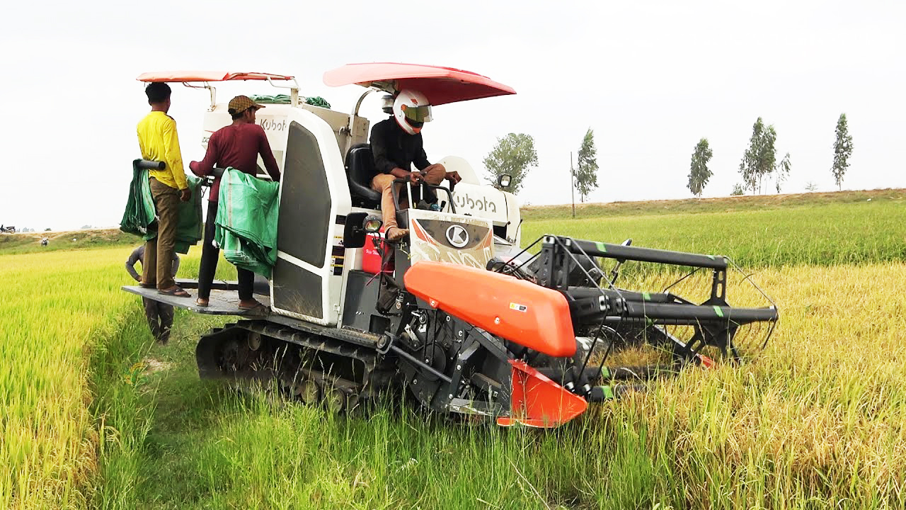 Harvester harvesting crops