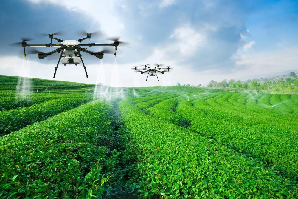 How to reduce costs and increase efficiency in agricultural？
