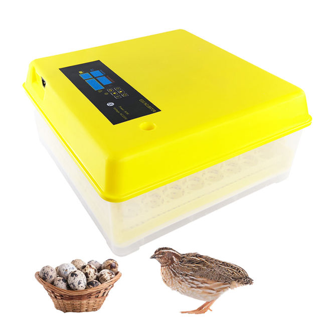 Small Egg Incubator 48 Eggs Hatching Machine 