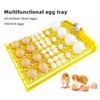 Egg Tray Used For Incubator Incubator Trays Egg Tray Quail Egg