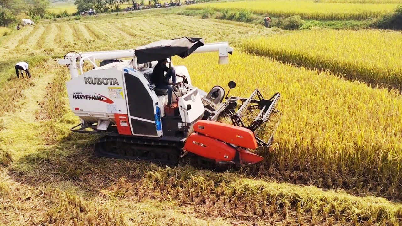 Kubota Harvester DC68G