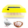 Small Egg Incubator 48 Eggs Hatching Machine 