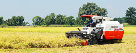 harvester 1.jpg
