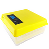 Small Egg Incubator 48 Eggs Hatching Machine 