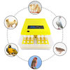 Small Egg Incubator 48 Eggs Hatching Machine 