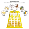 Egg Tray Used For Incubator Incubator Trays Egg Tray Quail Egg