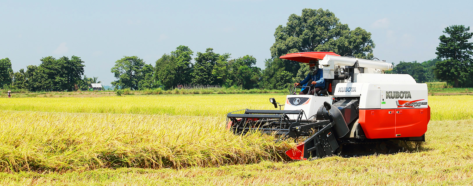 Kubota Harvester