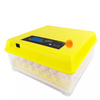 Small Egg Incubator 48 Eggs Hatching Machine 